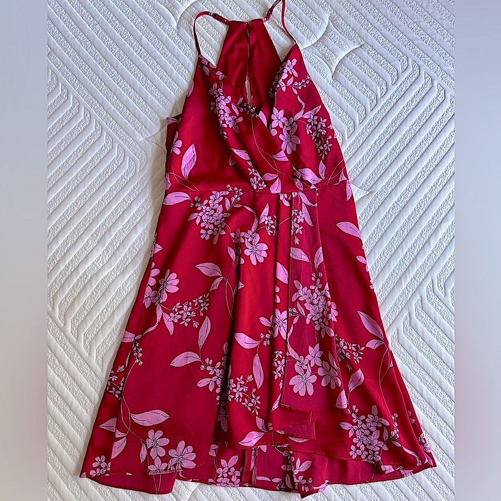 Express Red and Pink Floral Dress